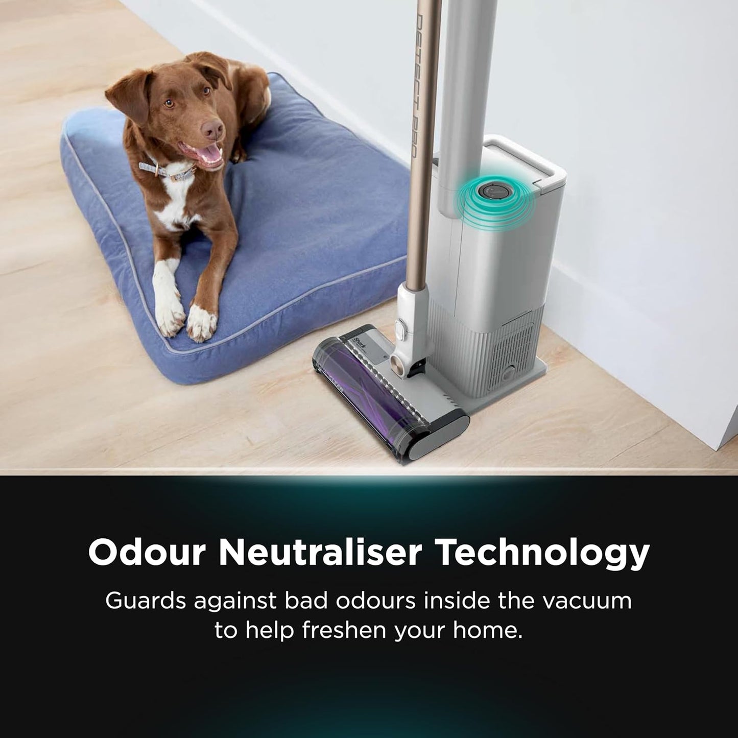 Shark Cordless PowerDetect Clean & Empty System, Multi-Directional Cleaning, Automatically Charges & 70 min Runtime - Good Condition