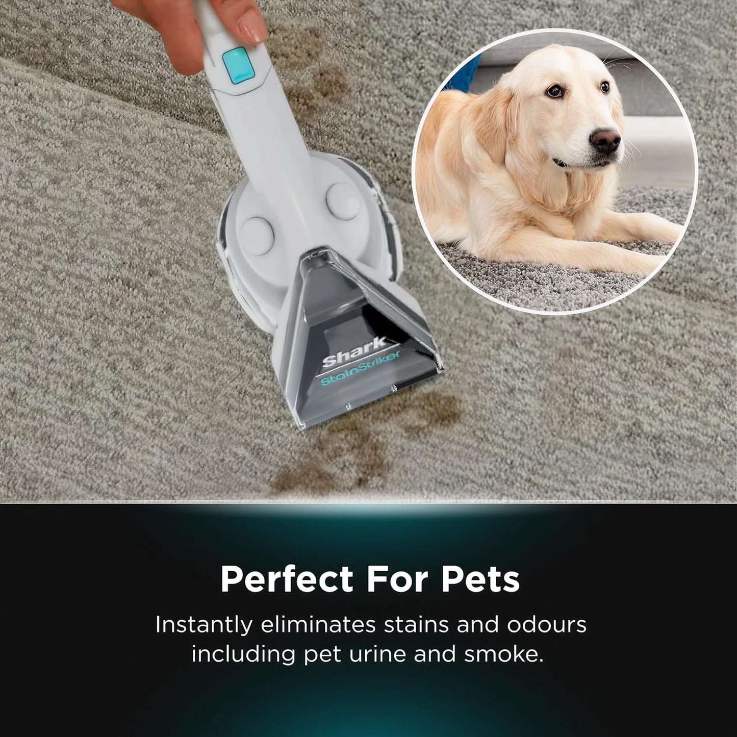 Shark StainStriker Portable Carpet and Upholstery Cleaner - Good Condition